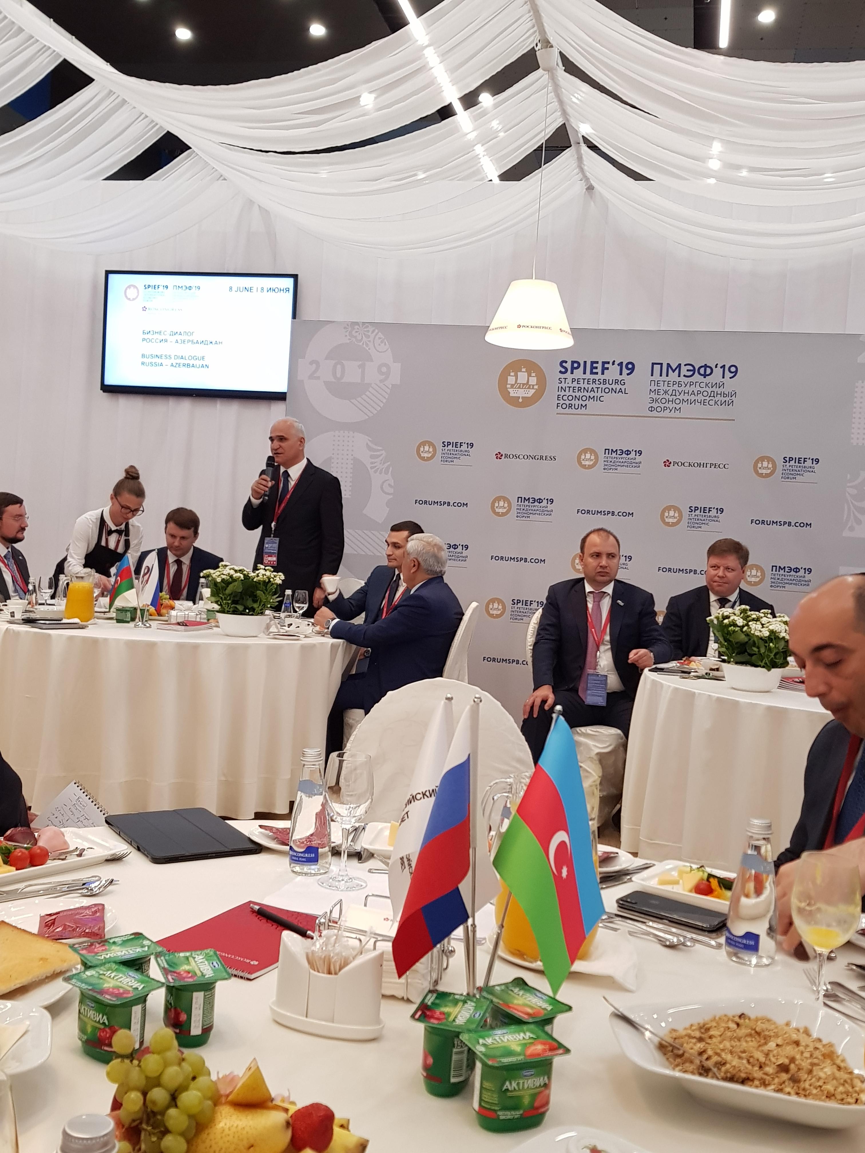 На ПМЭФ-2019 прошел Российско-Азербайджанский бизнес-диалог